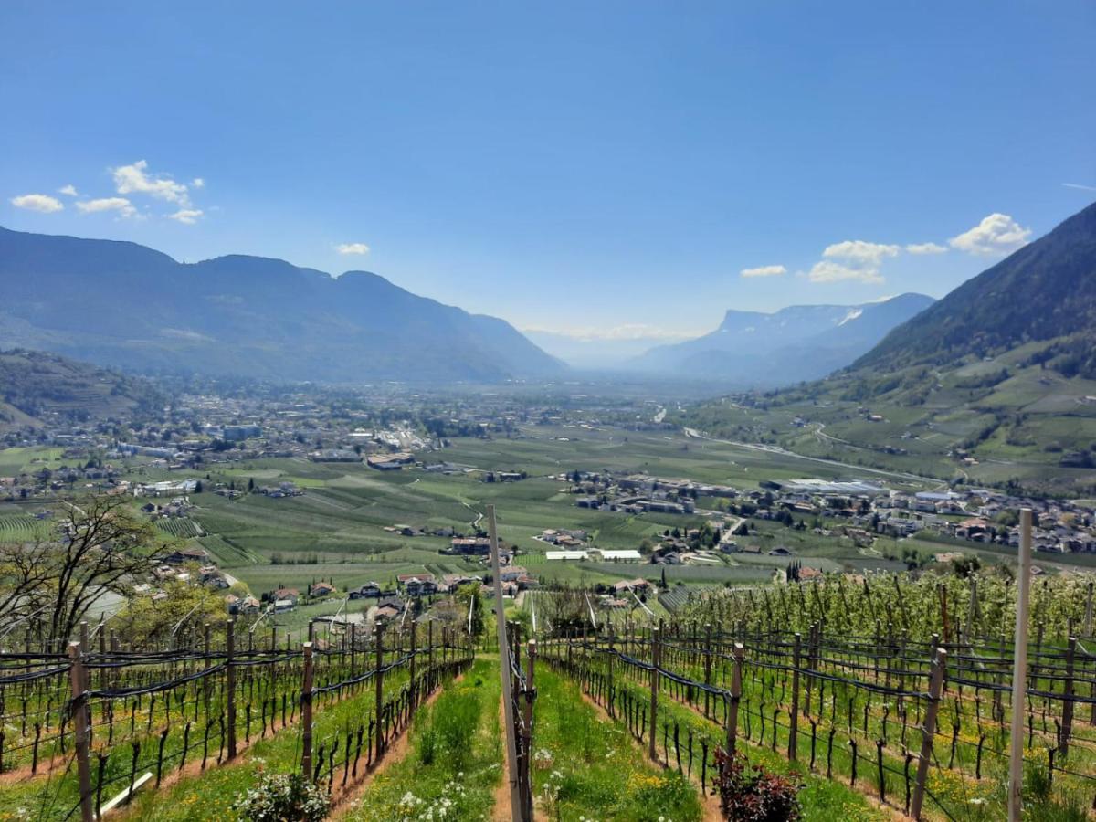 Unteroetzbauerhof - Fewo Weinberg Tirolo Ngoại thất bức ảnh